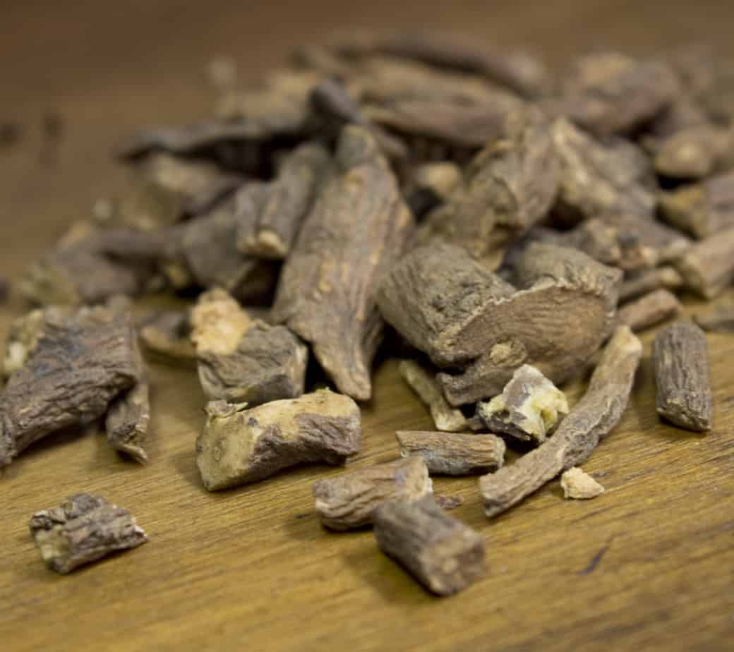 Dandelion Root